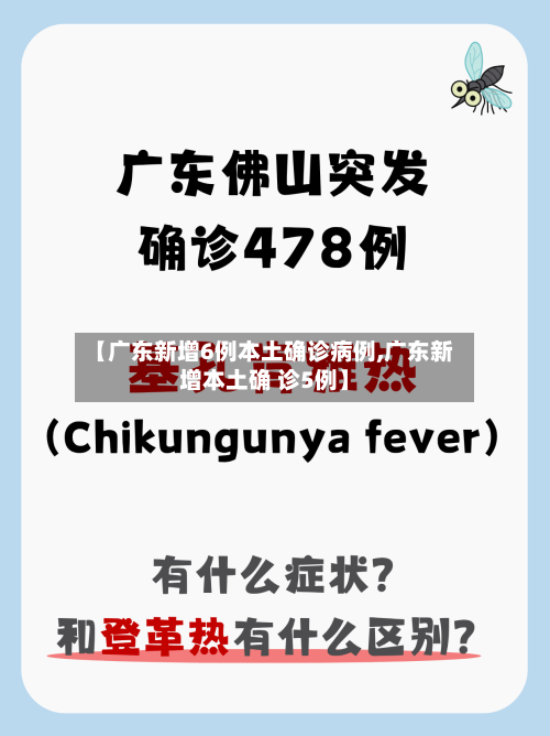 【广东新增6例本土确诊病例,广东新增本土确 诊5例】
