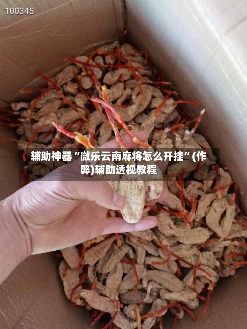 辅助神器“微乐云南麻将怎么开挂”(作弊)辅助透视教程-第3张图片