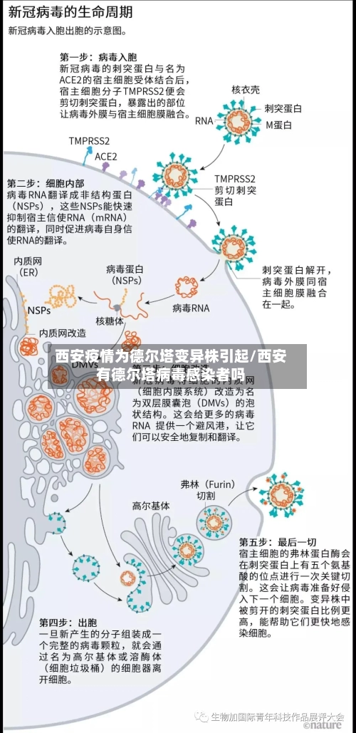 西安疫情为德尔塔变异株引起/西安有德尔塔病毒感染者吗-第2张图片