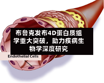 布鲁克发布4D蛋白质组学重大突破，助力疾病生物学深度研究