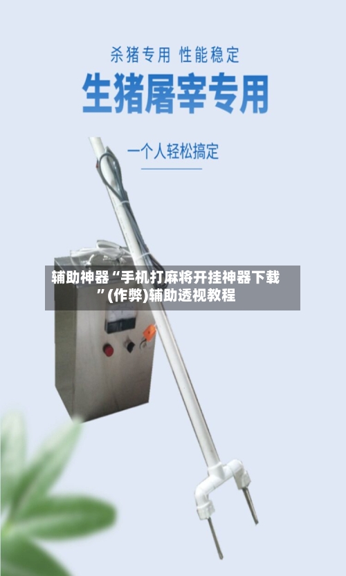 辅助神器“手机打麻将开挂神器下载”(作弊)辅助透视教程