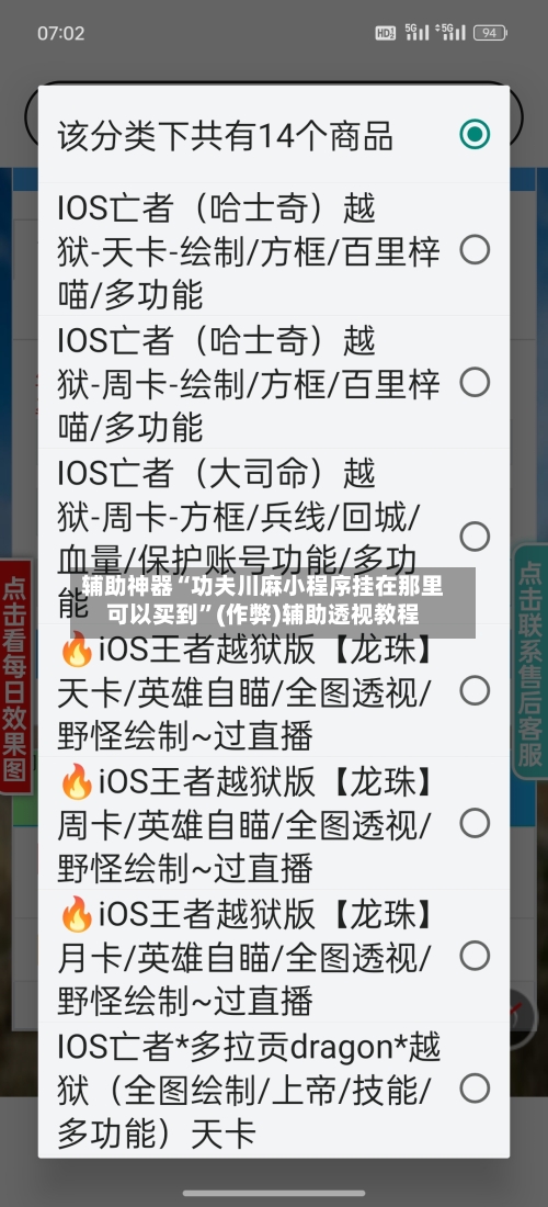 辅助神器“功夫川麻小程序挂在那里可以买到”(作弊)辅助透视教程-第3张图片