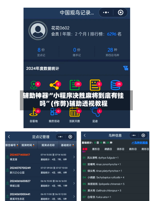 辅助神器“小程序决胜麻将到底有挂吗”(作弊)辅助透视教程-第2张图片