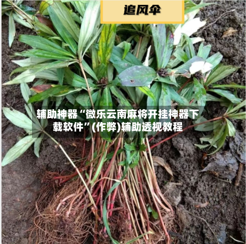 辅助神器“微乐云南麻将开挂神器下载软件”(作弊)辅助透视教程-第2张图片