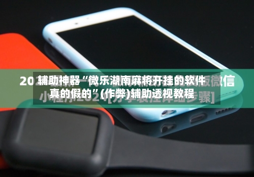 辅助神器“微乐湖南麻将开挂的软件真的假的”(作弊)辅助透视教程-第2张图片