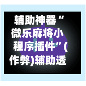 辅助神器“微乐麻将小程序插件”(作弊)辅助透视教程-第2张图片