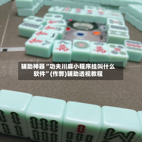 辅助神器“功夫川麻小程序挂叫什么软件”(作弊)辅助透视教程-第3张图片