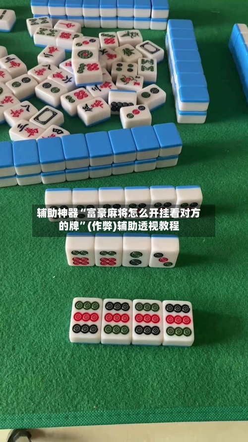 辅助神器“富豪麻将怎么开挂看对方的牌”(作弊)辅助透视教程-第3张图片