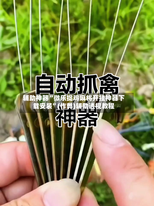 辅助神器“微乐捉鸡麻将开挂神器下载安装”(作弊)辅助透视教程-第3张图片