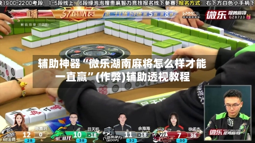 辅助神器“微乐湖南麻将怎么样才能一直赢	”(作弊)辅助透视教程-第2张图片