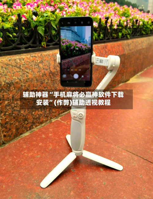 辅助神器“手机麻将必赢神软件下载安装	”(作弊)辅助透视教程-第3张图片