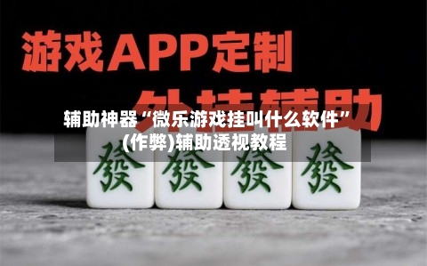 辅助神器“微乐游戏挂叫什么软件”(作弊)辅助透视教程-第2张图片