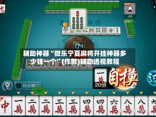辅助神器“微乐宁夏麻将开挂神器多少钱一个”(作弊)辅助透视教程-第2张图片