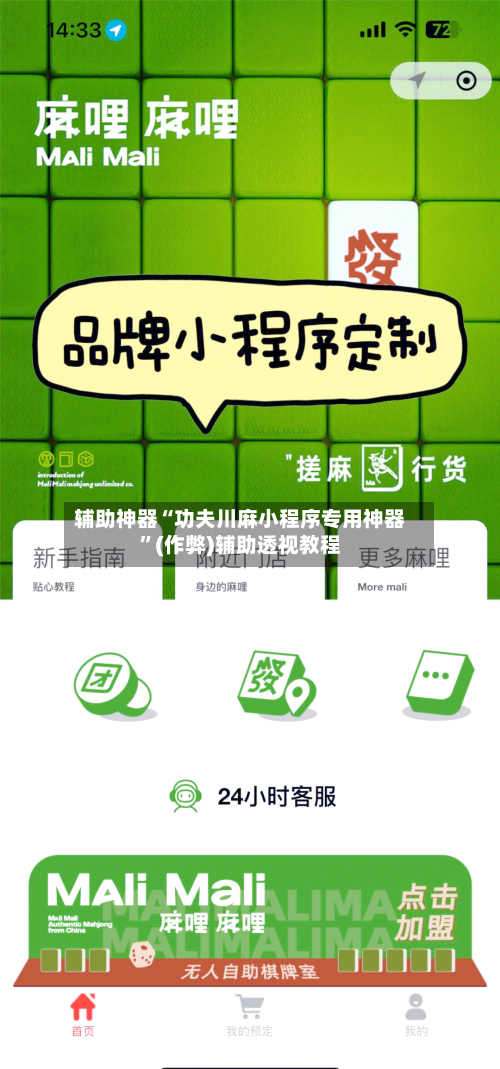 辅助神器“功夫川麻小程序专用神器”(作弊)辅助透视教程-第3张图片