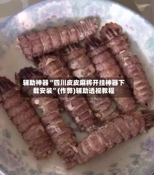 辅助神器“四川皮皮麻将开挂神器下载安装”(作弊)辅助透视教程-第2张图片