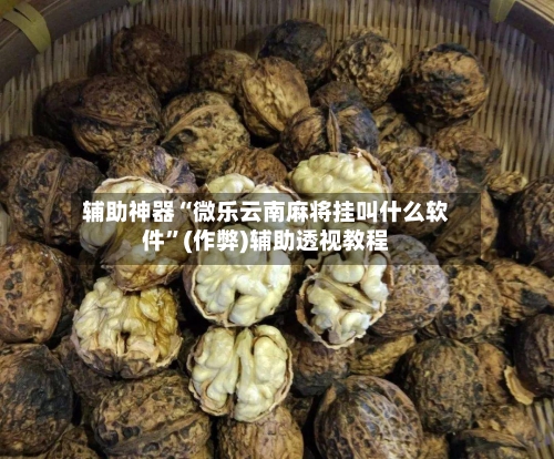 辅助神器“微乐云南麻将挂叫什么软件	”(作弊)辅助透视教程-第2张图片