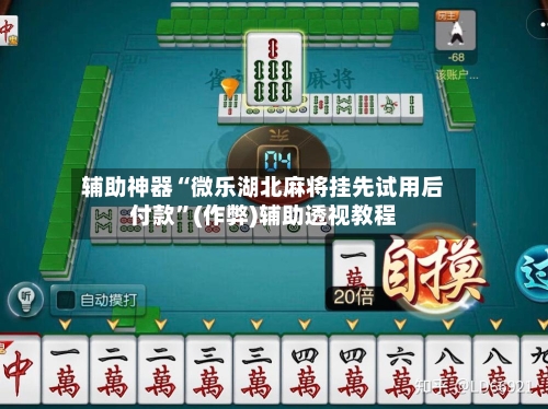辅助神器“微乐湖北麻将挂先试用后付款	”(作弊)辅助透视教程-第2张图片