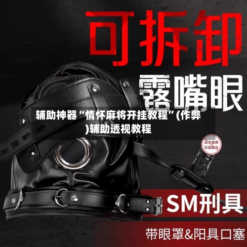 辅助神器“情怀麻将开挂教程”(作弊)辅助透视教程-第2张图片