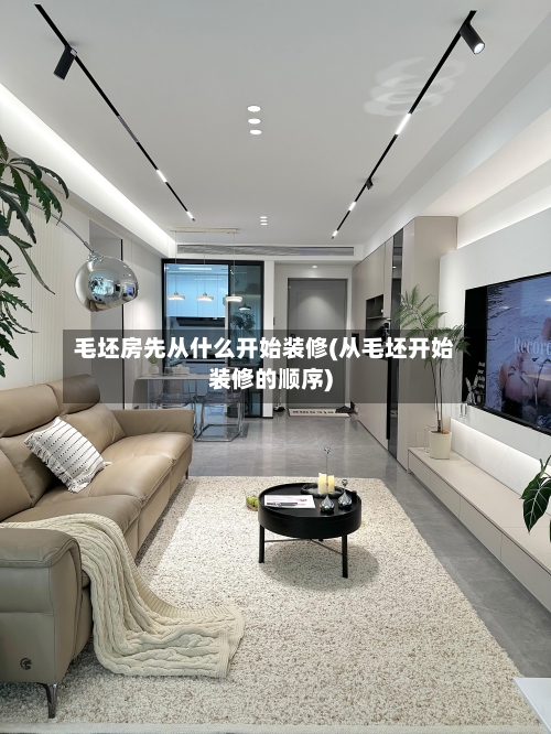 毛坯房先从什么开始装修(从毛坯开始装修的顺序)