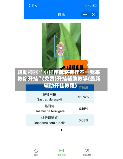 辅助神器“ 小程序麻将有挂不一我来教你开挂”(免费)开挂辅助教学(最新辅助开挂教程)-第2张图片