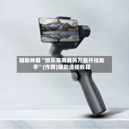 辅助神器“微乐海南麻将万能开挂助手”(作弊)辅助透视教程-第2张图片