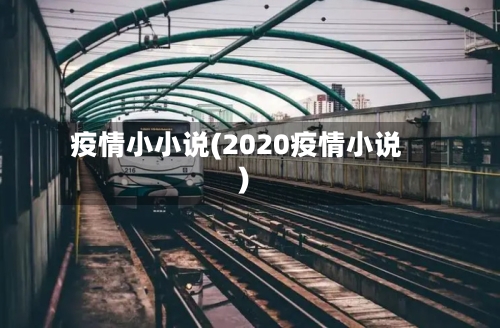 疫情小小说(2020疫情小说)-第3张图片