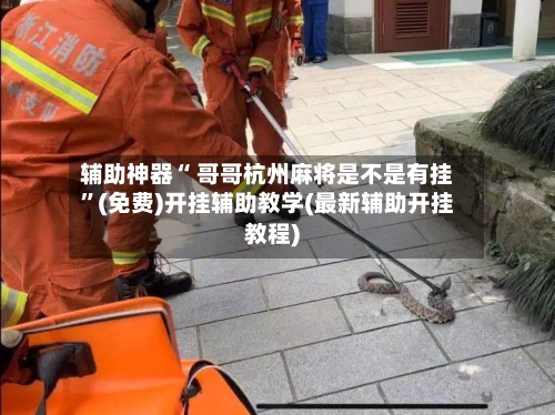 辅助神器“ 哥哥杭州麻将是不是有挂”(免费)开挂辅助教学(最新辅助开挂教程)-第3张图片