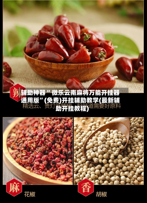 辅助神器“ 微乐云南麻将万能开挂器通用版”(免费)开挂辅助教学(最新辅助开挂教程)-第3张图片
