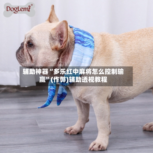 辅助神器“多乐红中麻将怎么控制输赢”(作弊)辅助透视教程
