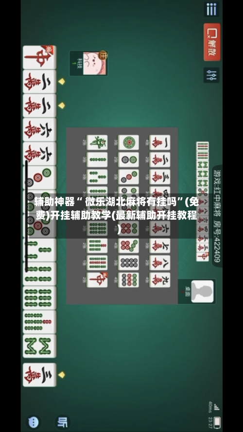 辅助神器“ 微乐湖北麻将有挂吗”(免费)开挂辅助教学(最新辅助开挂教程)-第2张图片