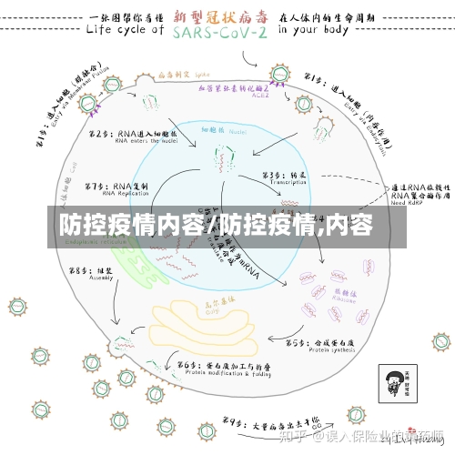 防控疫情内容/防控疫情,内容-第2张图片