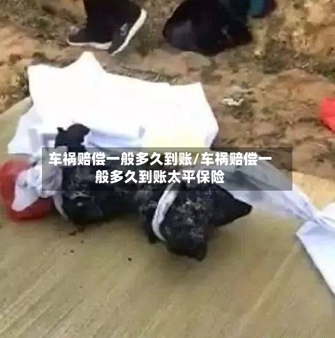 车祸赔偿一般多久到账/车祸赔偿一般多久到账太平保险-第3张图片