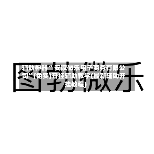 辅助神器“ 安徽微乐电子商务有限公司”(免费)开挂辅助教学(最新辅助开挂教程)-第3张图片