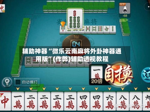辅助神器“微乐云南麻将外卦神器通用版”(作弊)辅助透视教程-第2张图片