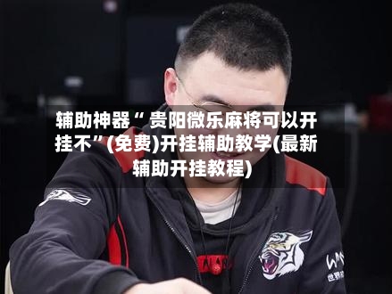 辅助神器“ 贵阳微乐麻将可以开挂不”(免费)开挂辅助教学(最新辅助开挂教程)