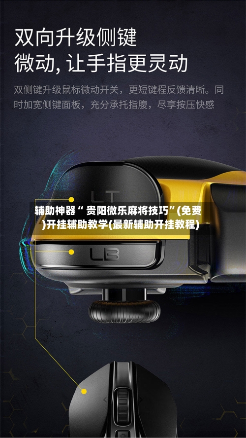辅助神器“ 贵阳微乐麻将技巧”(免费)开挂辅助教学(最新辅助开挂教程)-第2张图片
