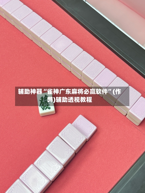 辅助神器“雀神广东麻将必赢软件”(作弊)辅助透视教程-第3张图片