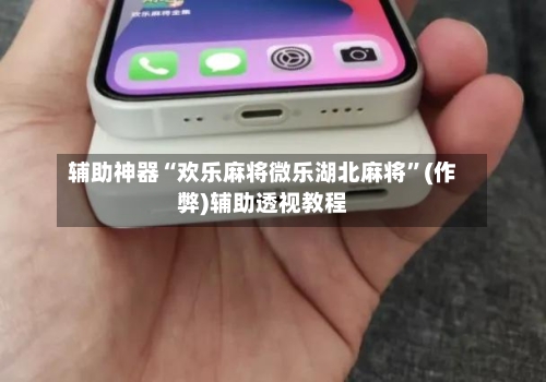 辅助神器“欢乐麻将微乐湖北麻将”(作弊)辅助透视教程-第2张图片