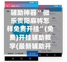 辅助神器“ 微乐贵阳麻将怎样免费开挂”(免费)开挂辅助教学(最新辅助开挂教程)-第2张图片