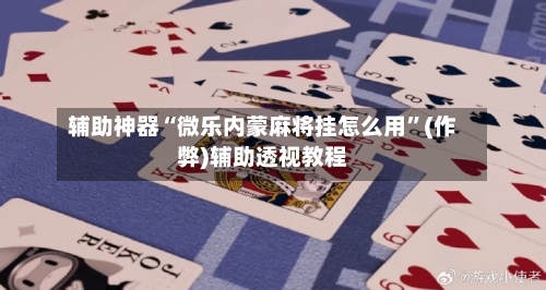 辅助神器“微乐内蒙麻将挂怎么用	”(作弊)辅助透视教程-第3张图片