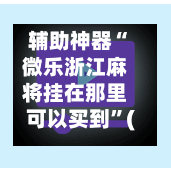 辅助神器“微乐浙江麻将挂在那里可以买到”(作弊)辅助透视教程-第2张图片