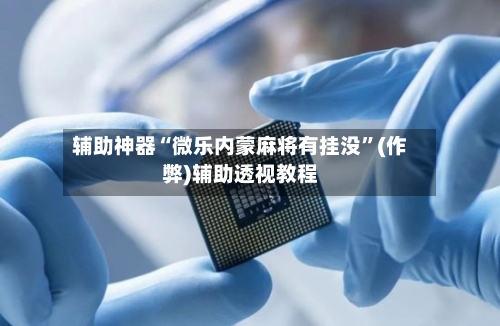 辅助神器“微乐内蒙麻将有挂没”(作弊)辅助透视教程-第3张图片