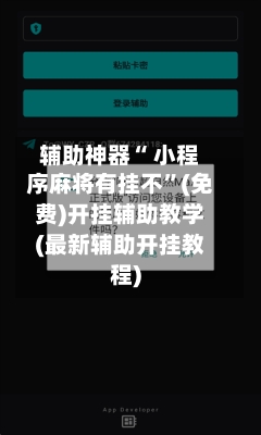 辅助神器“ 小程序麻将有挂不”(免费)开挂辅助教学(最新辅助开挂教程)-第2张图片