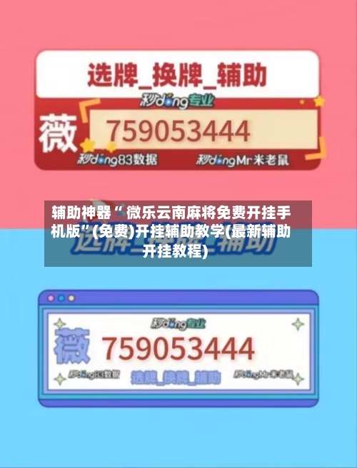 辅助神器“ 微乐云南麻将免费开挂手机版	”(免费)开挂辅助教学(最新辅助开挂教程)-第3张图片