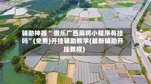 辅助神器“ 微乐广西麻将小程序有挂吗”(免费)开挂辅助教学(最新辅助开挂教程)-第2张图片