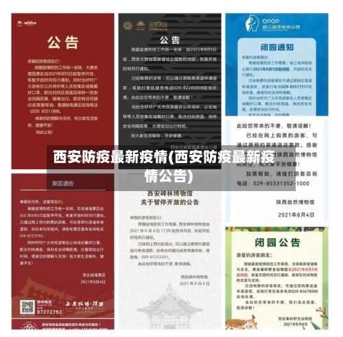 西安防疫最新疫情(西安防疫最新疫情公告)-第2张图片