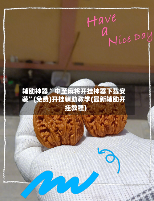 辅助神器“ 中至麻将开挂神器下载安装”(免费)开挂辅助教学(最新辅助开挂教程)-第2张图片