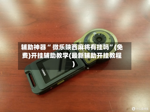 辅助神器“ 微乐陕西麻将有挂吗”(免费)开挂辅助教学(最新辅助开挂教程)