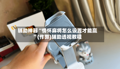 辅助神器“情怀麻将怎么设置才能赢”(作弊)辅助透视教程-第3张图片