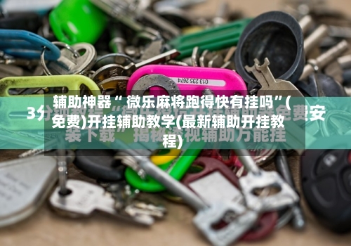 辅助神器“ 微乐麻将跑得快有挂吗”(免费)开挂辅助教学(最新辅助开挂教程)-第2张图片